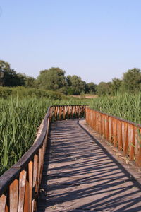 View over a beautiful wooden bridge that leads through a swamp