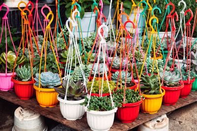 High angle view of potted plants for sale at market stall