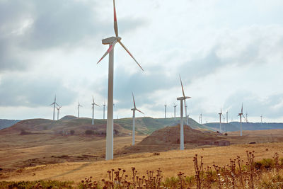 Wind turbines for clean energy.