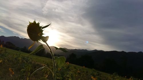 Scenic view of landscape against sky during sunset