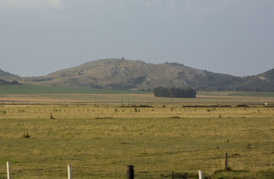 Scenic view of field and mountains against sky