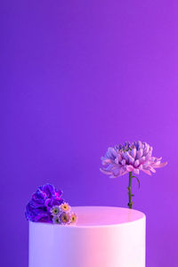 Low angle view of flowers against clear blue sky