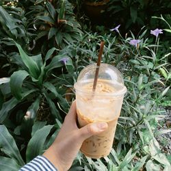 Close-up of hand holding drink