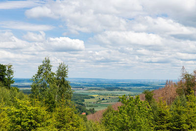 View to the northern foreland of the harz mountains