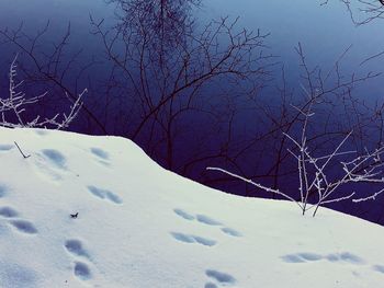 Bare trees on snow covered landscape against sky