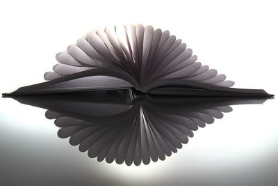 Close-up of spiral umbrella against white background