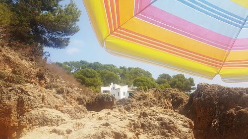 Low angle view of trees and buildings against sky