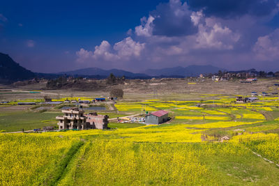 Scenic view of agricultural field against sky