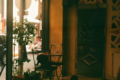 Potted plants by window at restaurant