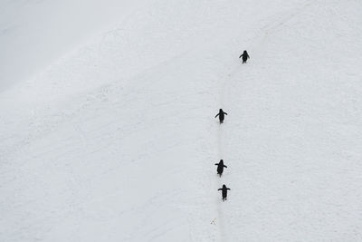 Man on snow covered landscape