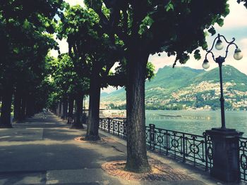 View of road along trees