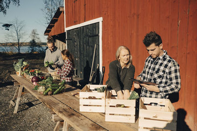 Male and female farmers arranging organic vegetables in crates outside barn