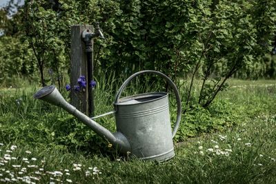 Flower pots on lawn