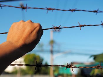Close-up of hand holding barbed wire