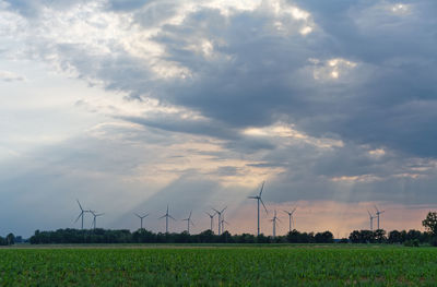 Wind turbines on field against sky during sunset