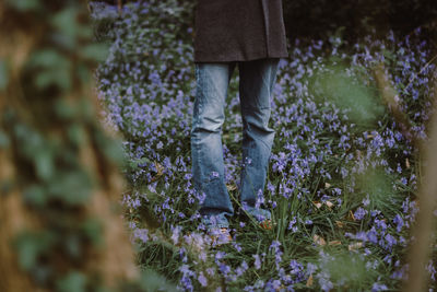 Low section of woman with flowers on plants