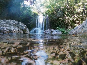 Scenic view of waterfall in forest