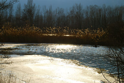 River with trees in background