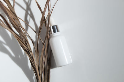 Close-up of white bottle against wall