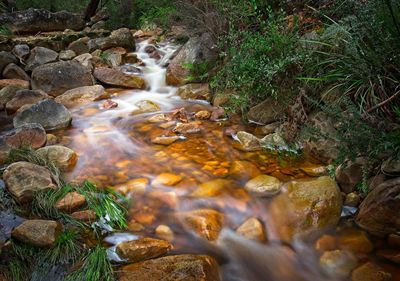 A mountain stream trickles over rocks