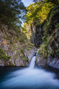 Scenic view of waterfall in forest