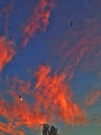 Low angle view of sky at sunset