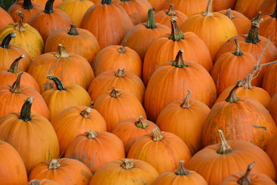 Full frame shot of pumpkins at market for sale