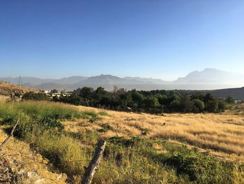 Scenic view of landscape against clear sky