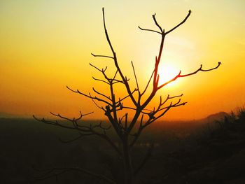 Silhouette bare tree against sky during sunset