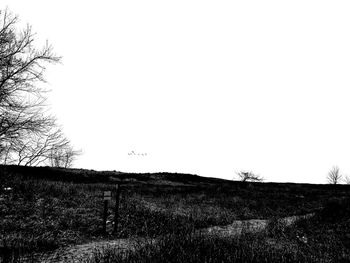 Scenic view of field against clear sky