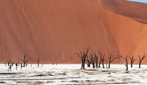 Scenic view of landscape