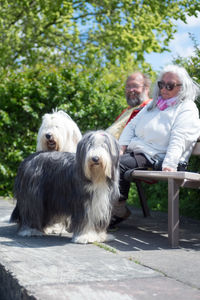 Rear view of woman with dog sitting outdoors