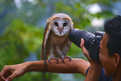 Close-up of man photographing owl