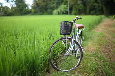 Bicycle in basket on field