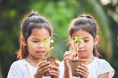 Cute girls holding saplings in flower pot