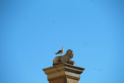 Low angle view of seagull perching on statue against clear blue sky