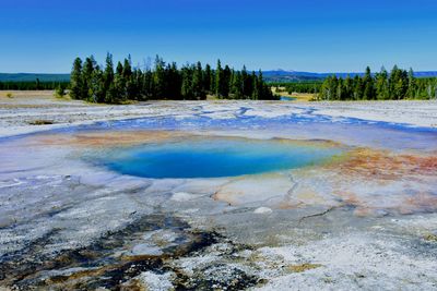View of trees on shore against blue sky