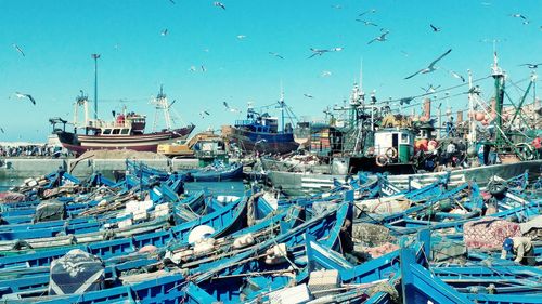 View of fishing boats moored at harbor