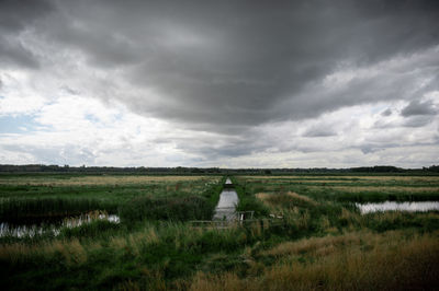 Scenic view of field against sky