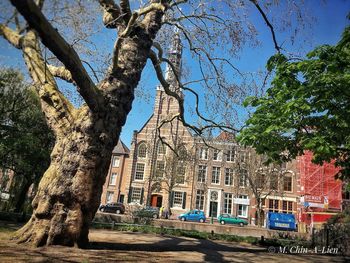 Panoramic shot of trees and buildings against sky