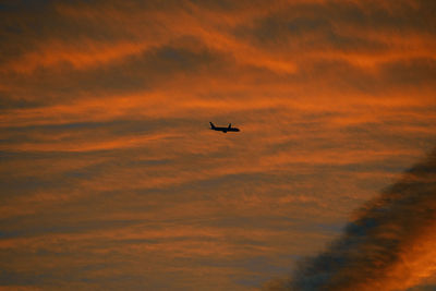 Low angle view of silhouette bird flying against orange sky