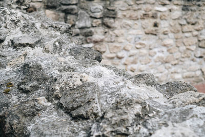 Close-up of rock on wall