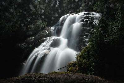 Scenic view of waterfall in forest