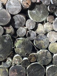 Full frame shot of logs in forest