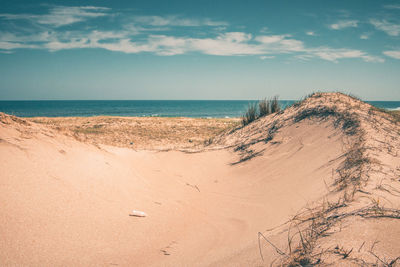 Scenic view of beach against sky