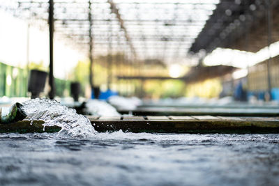 Surface level of water flowing over rocks