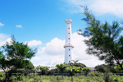 Low angle view of palm trees and lighthouse against sky