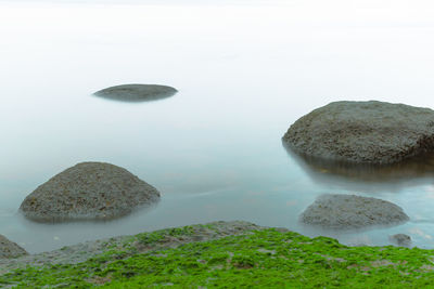 High angle view of rocks in sea