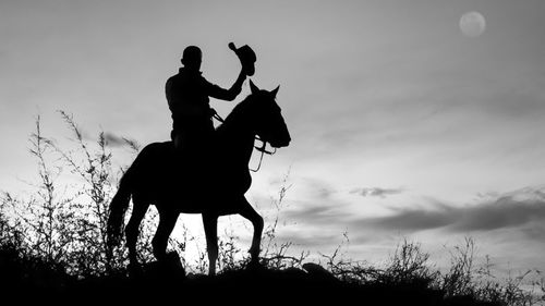 Silhouette man riding horse on field against sky