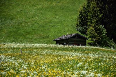 Hut on grassy field against sky